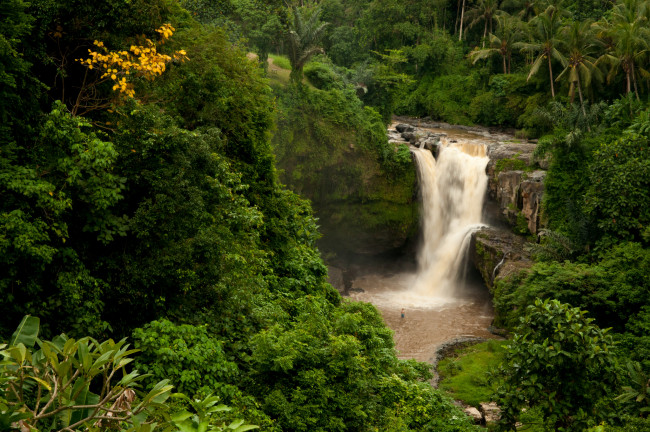 Обои картинки фото tegenungan, waterfall, bali, indonesiа, природа, водопады, бали, индонезия, джунгли, лес, пальмы, скала