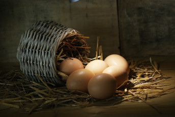 Картинка еда Яйца яйца натюрморт