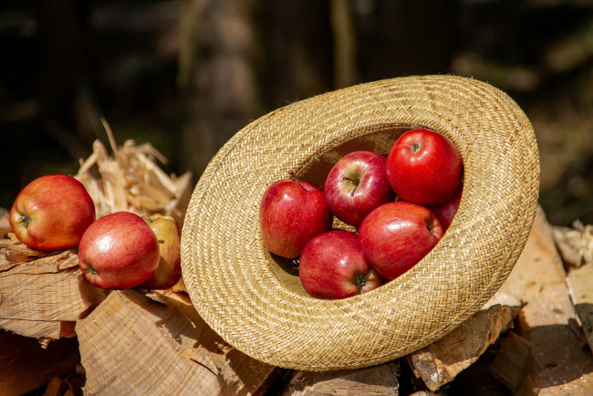 Обои картинки фото еда, Яблоки, красный, шляпа