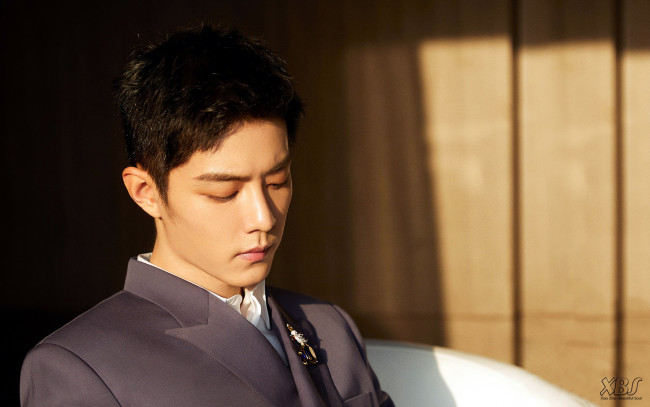 Обои картинки фото мужчины, xiao zhan, актер, лицо, пиджак, брошь