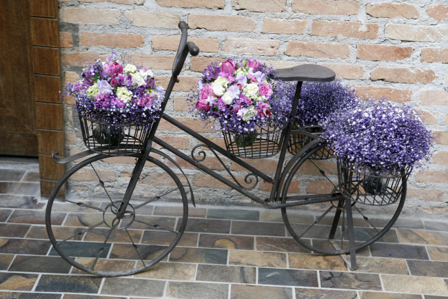 Обои картинки фото цветы, букеты, композиции, велосипед, мостовая
