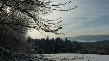 Картинка природа зима гора деревья снег
