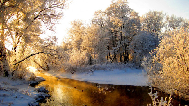 Обои картинки фото зимняя, сказка, природа, зима, речка, лес, утро
