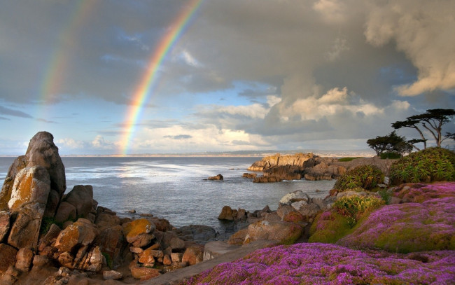 Обои картинки фото природа, радуга, цветы, пляж, океан