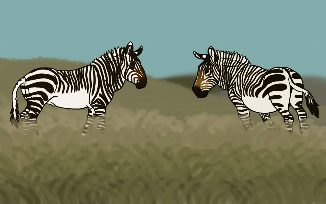 Обои картинки фото рисованные, животные, зебры, поле