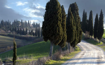 Картинка природа дороги silent guardians пейзаж italy tuscany