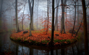 Картинка природа лес река осень
