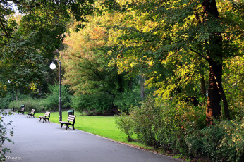 Картинка природа парк осень скамейки фонарь аллея