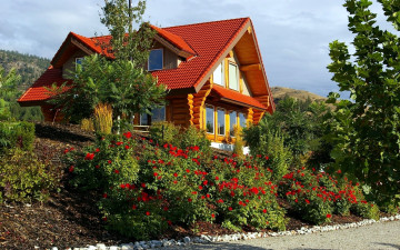 Картинка города -+здания +дома крыша красная цветы дом