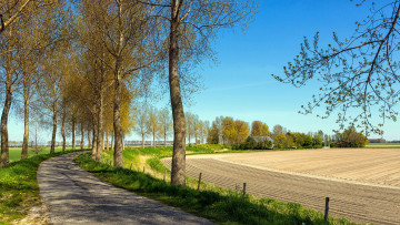 Картинка природа дороги весна дорога деревья поле