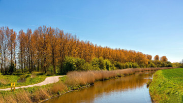 Картинка природа реки озера весна дорога река деревья