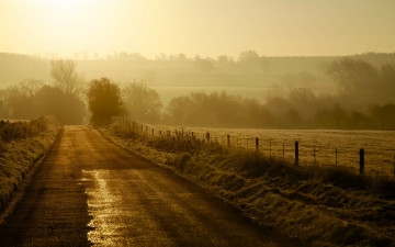 Картинка природа дороги туман деревья утро поля дорога