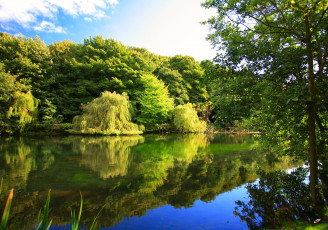 Картинка природа реки озера деревья отражение вода