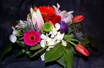 Картинка цветы букеты композиции герберы тюльпаны лилии эустома хризантема