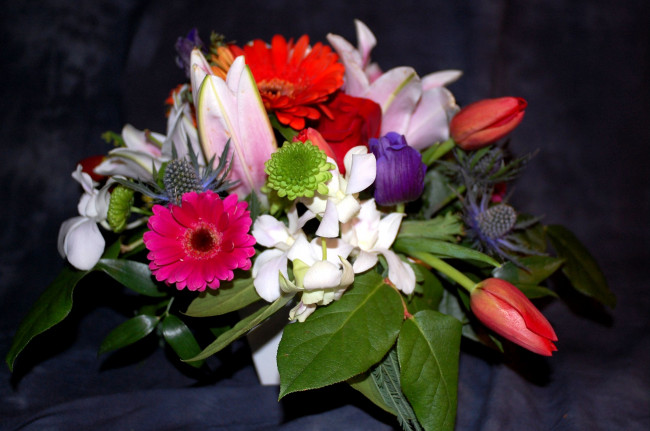 Обои картинки фото цветы, букеты, композиции, герберы, тюльпаны, лилии, эустома, хризантема