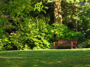 Картинка hill garden london england природа парк деревья кусты трава