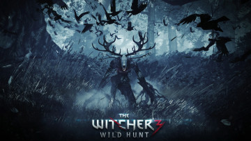 Картинка видео игры the witcher wild hunt