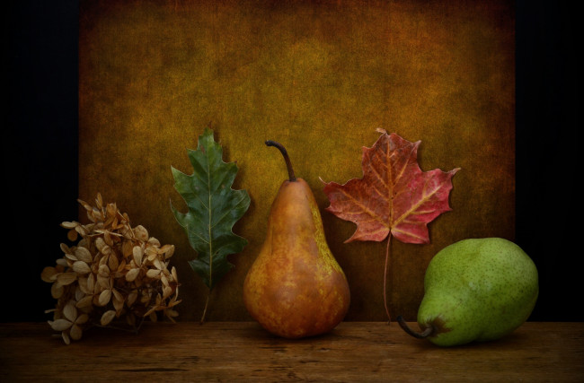 Обои картинки фото еда, груши, плоды, листья, композиция