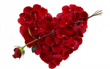 Картинка праздничные день+святого+валентина +сердечки +любовь сердечко лепестки цветок красная роза