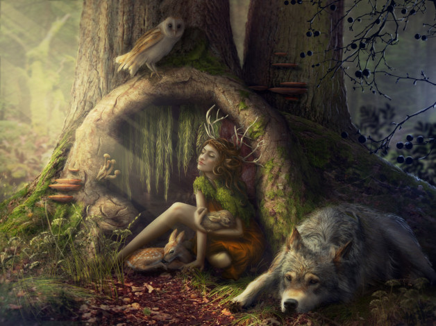 Обои картинки фото фэнтези, фотоарт, звери, лес, лань, дерево, сова, волк, девушка, эльф