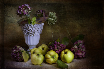 Картинка еда натюрморт ретро яблоки цветы ваза