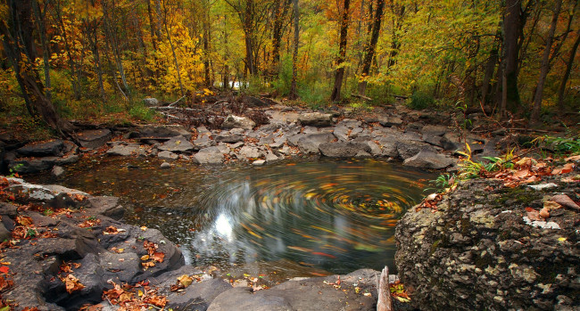 Обои картинки фото природа, реки, озера, ручей, лес, осень