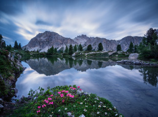 Картинка природа реки озера горы озеро цветы
