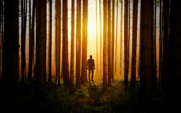 Картинка разное компьютерный+дизайн лес силуэт тень человек
