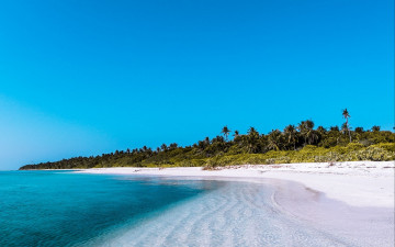 Картинка природа тропики море пляж пальмы