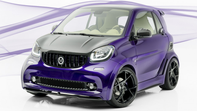 Обои картинки фото smart fortwo 2019, автомобили, smart, fortwo, 2019, mansory, крутой, маленький, мальчонка, прикольный, классный