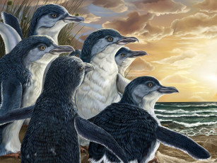 Картинка рисованные животные птицы пингвины