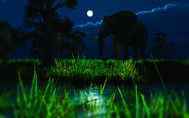 Обои картинки фото in, pursuit, of, tusker, 3д, графика, animals, животные, слон, луна, ночь