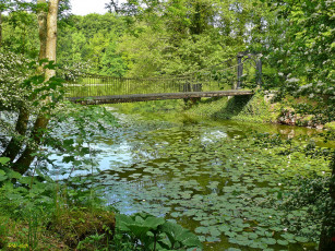 Картинка дания assens природа парк лес мост