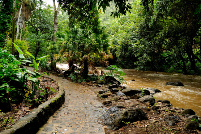 Обои картинки фото hawaii, природа, тропики, парк, река, пальмы