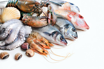 обоя еда, рыба,  морепродукты,  суши,  роллы, моллюски