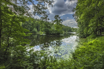Картинка природа реки озера зелень