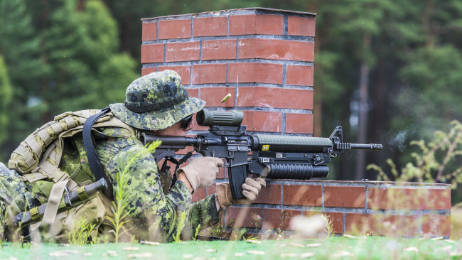Обои картинки фото оружие, армия, спецназ, canadian, army, солдат