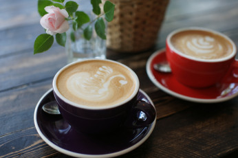 Картинка еда кофе +кофейные+зёрна ресунок пенка копучино цветы