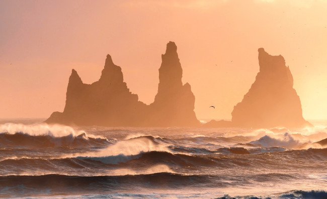 Обои картинки фото рейнисдрангар,  исландия, природа, побережье, море, скалы, закат, птица, волны