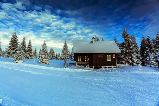 Обои картинки фото Чехия, природа, зима, дом, облака, снег, ели