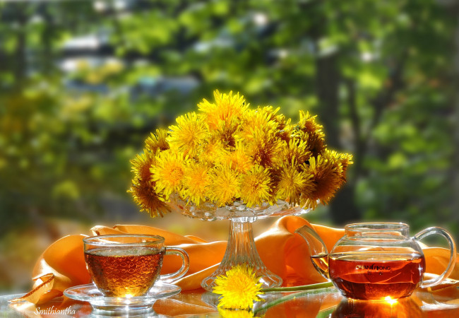 Обои картинки фото еда, напитки,  Чай, чайник, чай, чаепитие, цветы, фото, позитив, одуванчики, натюрморт, желтый, цвет, ваза, чашка