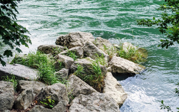 Картинка природа реки озера вода камни река трава