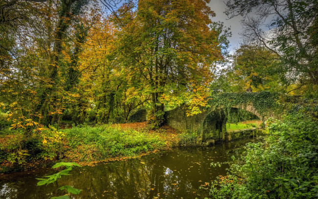 Обои картинки фото природа, парк, осень, листопад, водоем, мостик