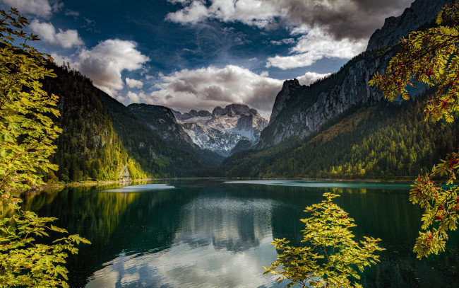 Обои картинки фото природа, реки, озера, горы, ветки, озеро, отражение, австрия, альпы, рябина, austria, alps, lake, gosau, gosauseen, upper, верхняя, гозау