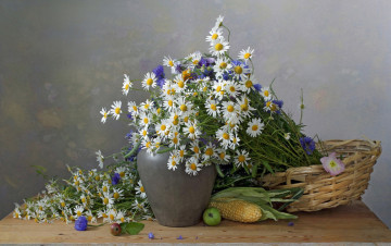 Картинка цветы луговые+ полевые +цветы ваза корзинка ромашки васильки