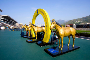 Картинка разное рельефы статуи музейные экспонаты лошади скульптуры