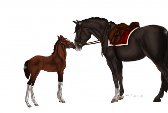 Картинка рисованные животные лошади лошадка лошадь