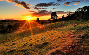 Картинка природа восходы закаты деревья солнце лучи свет холмы поле трава