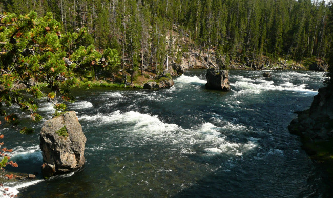 Обои картинки фото yellowstone, river, природа, реки, озера, лес, река, камни, скалы