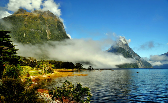 Обои картинки фото новая, зеландия, саутленд, природа, побережье, океан, горы, растительность, залив